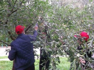 �����������