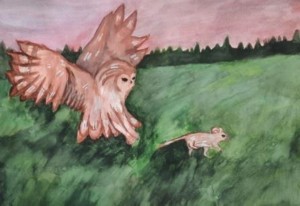 �����������