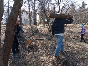 �����������