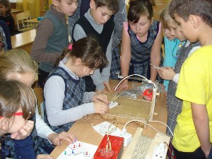 �����������